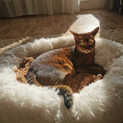 Plush Pet Beds